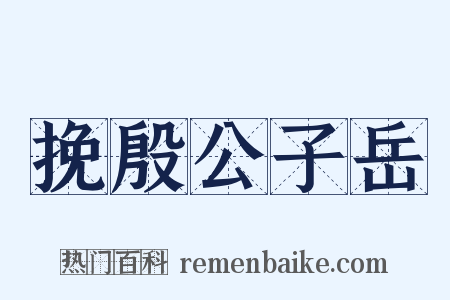 挽殷公子岳是什么意思的图片